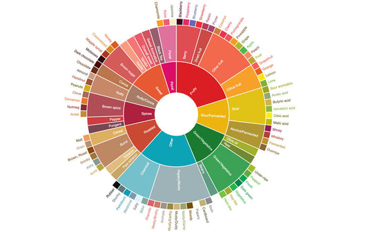 The Truth About “Flavor Notes” in Coffee