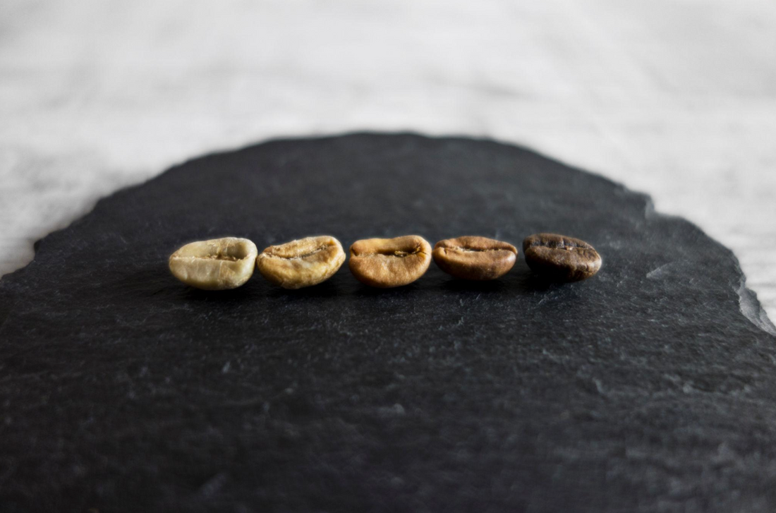 Light Roast vs Dark Roast: Which One Should You Actually Buy?