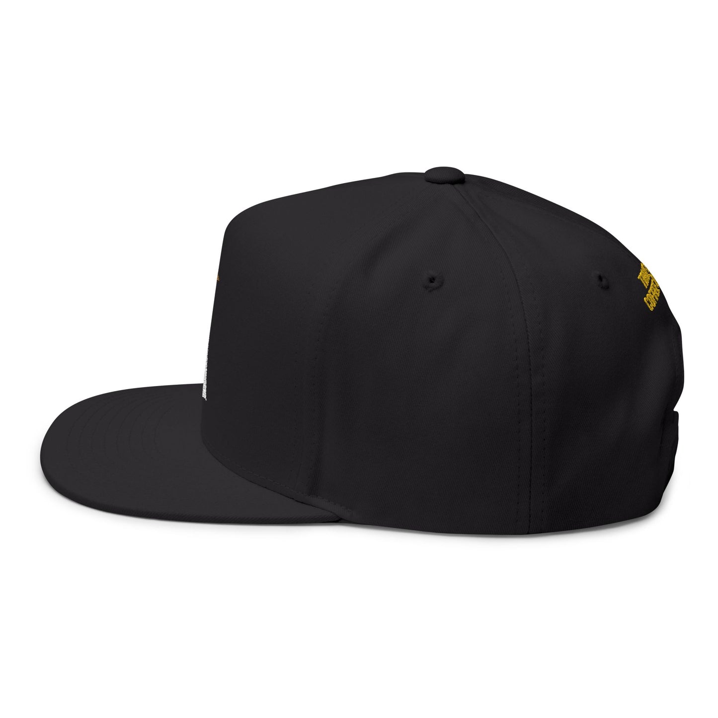 Flat Cap — Compass & Star