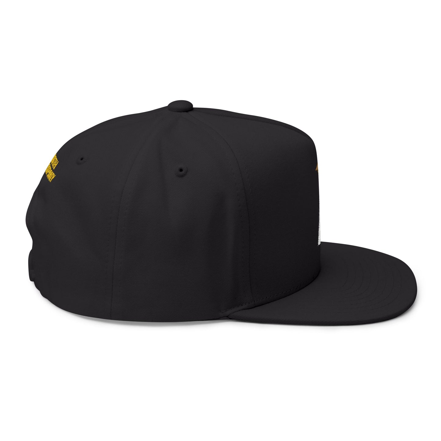 Flat Cap — Compass & Star